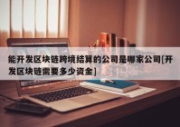 能开发区块链跨境结算的公司是哪家公司[开发区块链需要多少资金]